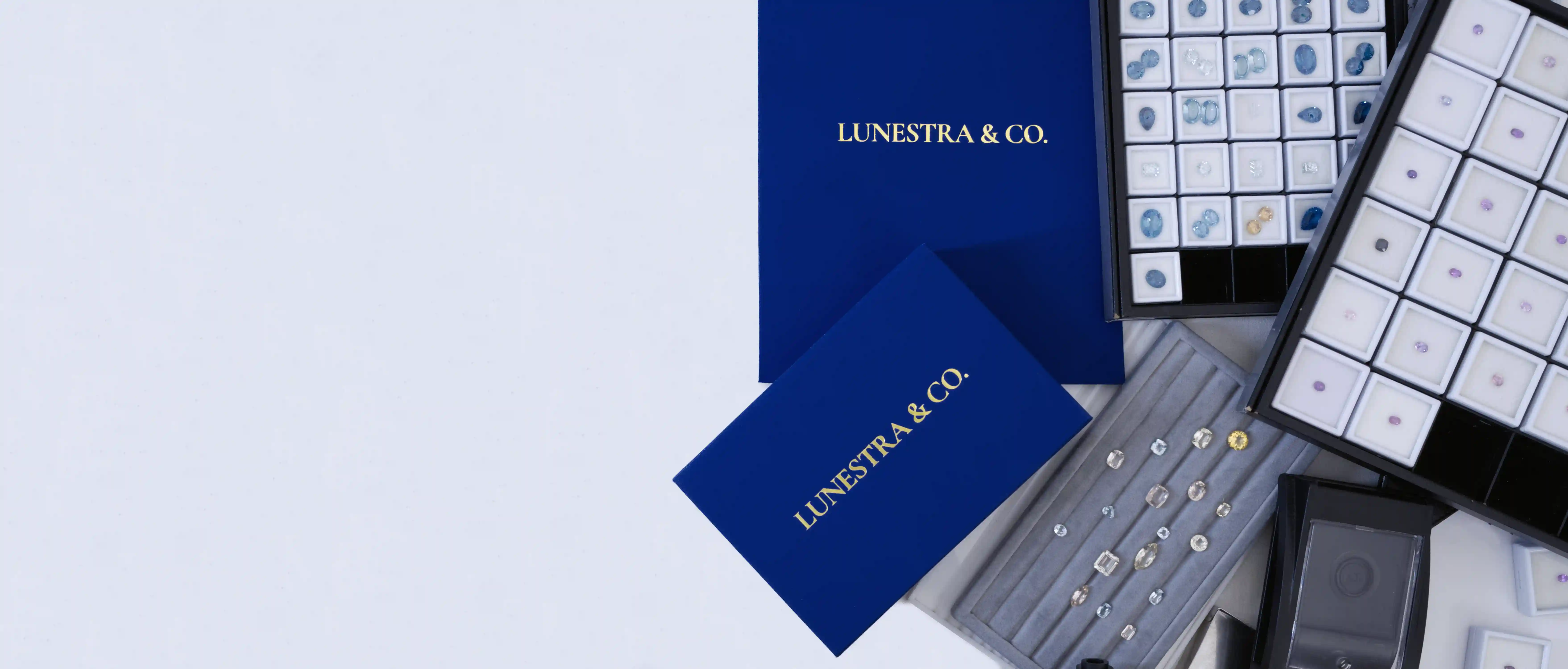 Elite Aesthetic Editorial Desktop