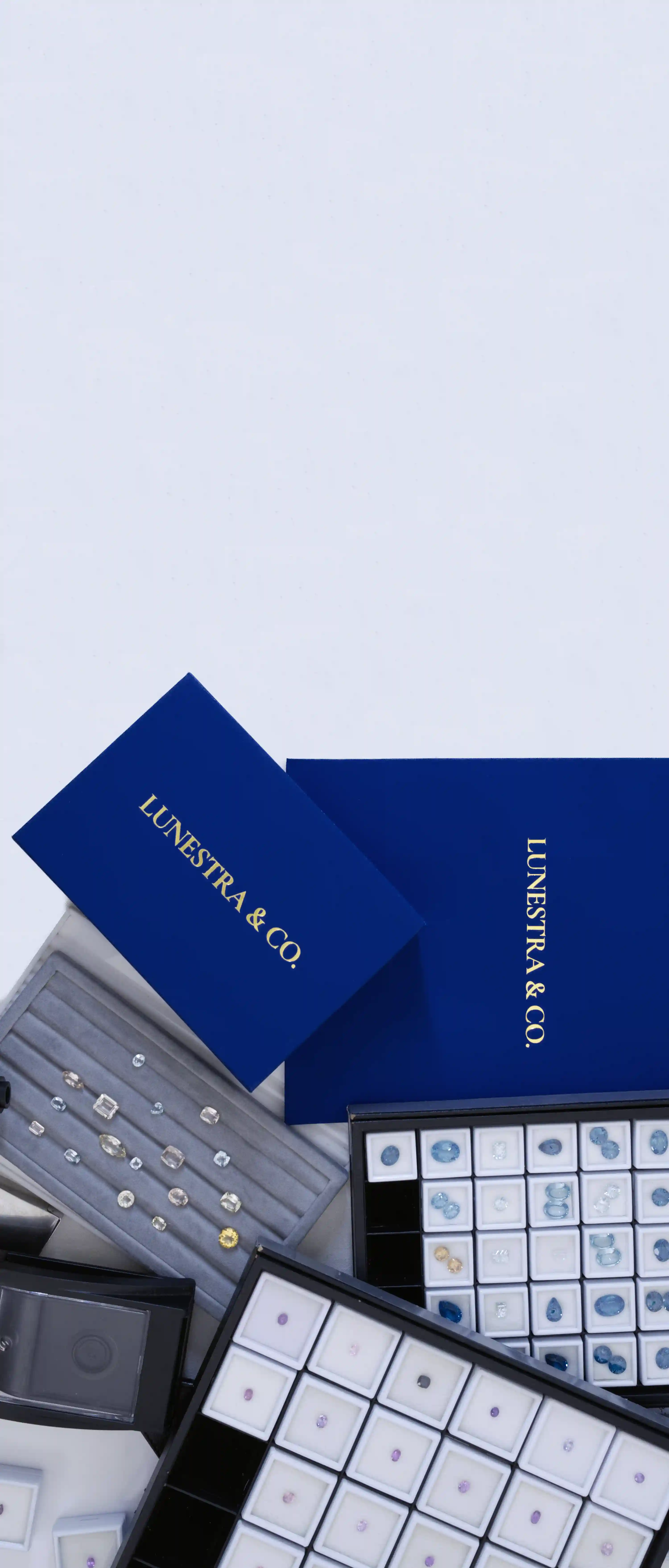 Elite Aesthetic Editorial Mobile